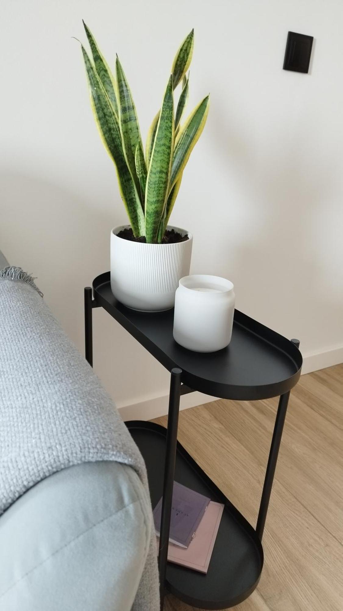 Apartment Between クラクフ エクステリア 写真